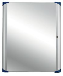 Office Depot Glazed Case 810L x 980W x 45D mm