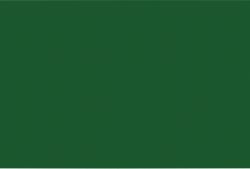 Bright Ideas Poster Paper Dark Green 76 x 51cm 25 Sheets Per Pack 
