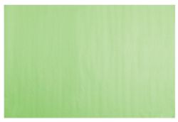 Bright Ideas Tissue Paper Sheets Light Green 762 x 508mm 48 Sheets Per Pack 
