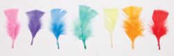 Coloured Feathers Assorted Colours 50g