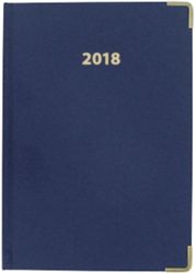 Niceday A5 Day a Page Executive Diary 2012 Blue