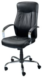 Hudson Executive Office Chair