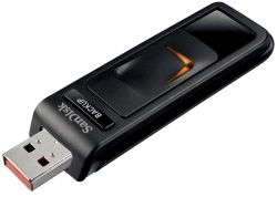 SanDisk Ultra Backup Flash Drive 16GB