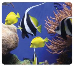 Fellowes Earth Series Mouse Pad Under the Sea 