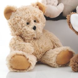 Microwaveable Hottie Bear 