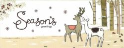 Illustrative Slim Animal Christmas Cards 70H x 180W mm