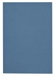 Executive Art Book Blue Pack 100