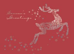 Silver Reindeer Non Personalised Christmas Cards 149H x 203W mm
