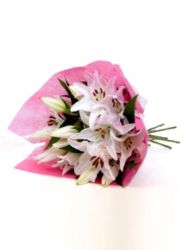 Just Oriental Lilies