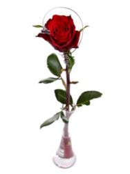 Love&amp;#039; Charm Single Rose with Tapered Vase