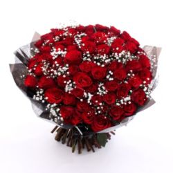 Cento Amore Roses