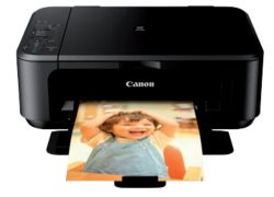 Canon Pixma MG2250 3 in 1 Inkjet Multifunctional Printer