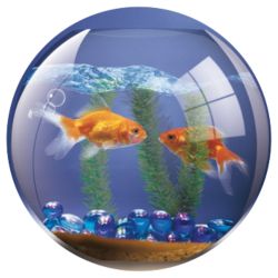 Fellowes Brite Mats Goldfish mouse mat