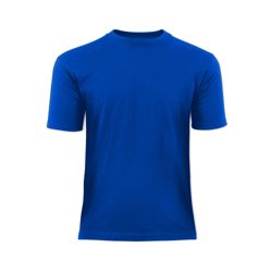 unisex Classic t shirt Size L Royal blue