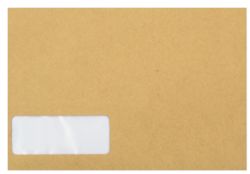 Sage Compatible Wage Envelope 1000 per box SE47
