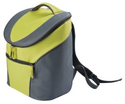 Stylish picnic cooler backpack