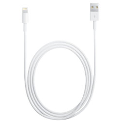 Apple Lightning to USB Cable 