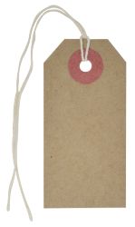Double Reinforced Heavy Duty Tags 70X35mm Pk 1000