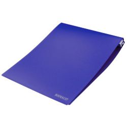 Rapesco 396 x 305mm Data Binders 132 Column Blue