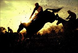 Winning Raceday Package For Two
