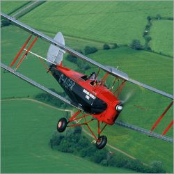 Fly A Tiger Experience