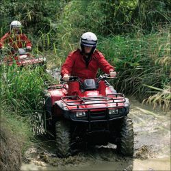 Quad Bike Experience