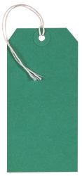 Coloured Strung Tags Green