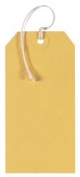 Coloured Strung Tags Yellow