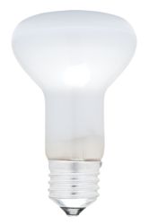 Diffused Reflector bulb 60W ES R80 