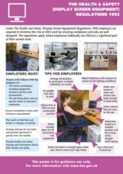 Health Safety Poster Display Screen Equipment