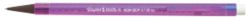 Papermate Disposable Matic Pencils 12 Pack