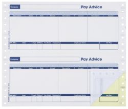 Compatible 2 Part Payslip Continuous 1000 per box SE32