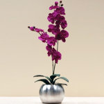 Cerise Orchid Artificial Plant 75cm