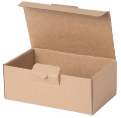 Boîtes d'expédition Fermeture postale Marron 250 (l) x 150 (P) x 100 (H) mm 50 Unités