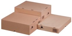 Cartons multi usage Smartbox Pro 310 (l) x 230 (P) x 103 (H) mm 5 Unités