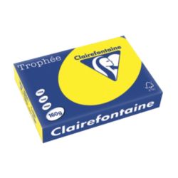 Papier couleur Clairefontaine Trophée A4 160 g