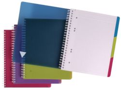 Cahier à spirale Clairefontaine Linicolour A4+ Quadrillé Assortiment 120 Feuilles