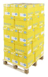 Papier multifonction Data Copy Everyday Printing A4 80 g