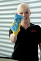 Lingettes Vileda 143585 Microfibre Bleu 5 Unités