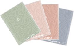 Cahier AURORA PT18L Assortiment Ligné A4+ 80 g