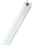 Osram T8 Leuchtstofflampe Matt G13 36 W Kaltweiß 25 Stück