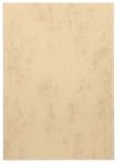 Sigel Designpapier DP553 DIN A4 200 g/m² Beige 50 Blatt