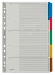 Leitz Mylar Blanko Register DIN A4 Mehrfarbig 5-teilig 160 g/m² Mylar 11 Löcher 4320