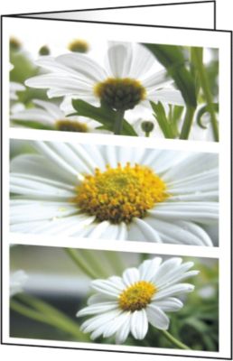 Sigel Grußkarten Blumen DIN A6 220 g/m² Sortiert 25 Stück 1036397