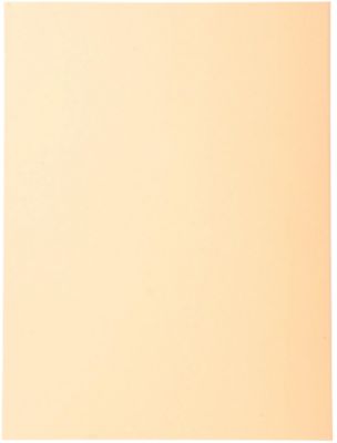 Sous-fardes Exacompta A4 Beige 170 g/m² Carton Manila 100 Unités