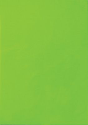 Étiquettes multifonctions VIK1008-GN A4 Vert néon 210 x 297 mm 25 Feuilles de 1 Étiquettes