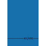 Registro Blu A quadretti A4 29,7 x 21 cm 60 g