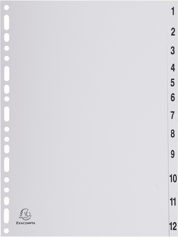 Exacompta 1 bis 12 Register DIN A4 12-teilig PP (Polypropylen) 1912E 20 Stück