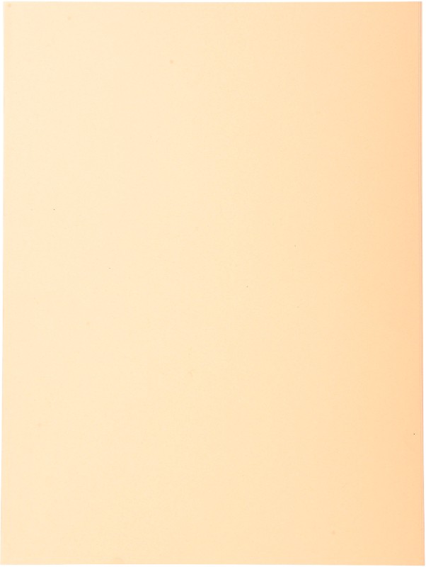 Thumbnail - Exacompta Forever Aktendeckel DIN A4 Creme Manila Recycelt 100% 220 g/m² 500 Stück