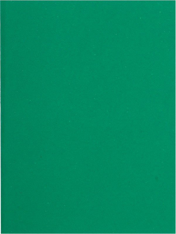 Exacompta Flash Aktendeckel A4 Grün Manila Recycelt 100% 220 g/m² 500 Stück